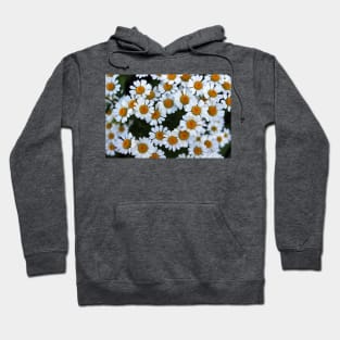 Daisies Hoodie